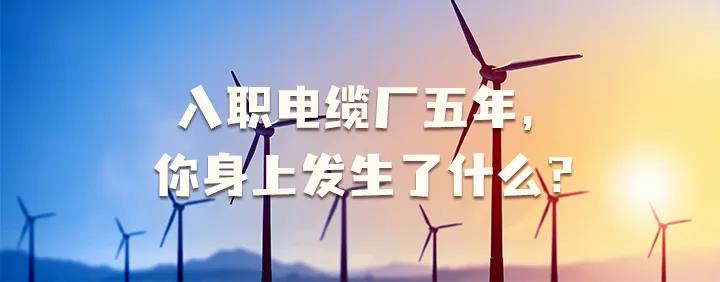 入職電纜廠五年，你身上發生了哪些變化~